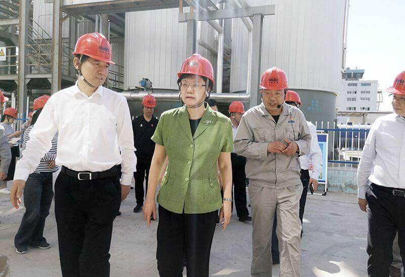 2019年5月23日，全国政协副主席李斌（左二）到388vip太阳集团调研