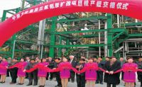2000-2005年，选取意大利欧技工艺技术，相继建成了三套三聚氰胺出产装置，年产能5.4万吨